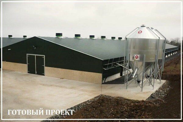 Этапы возведения птицефабрики от завода ВелесТент-мир